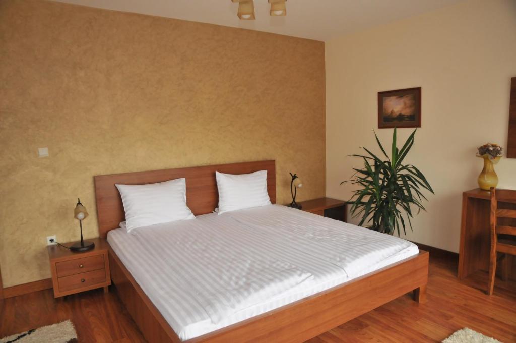 Pensiunea Normandia Timisoara Exterior photo